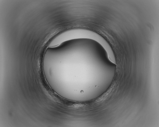 X0000112910158200909141259