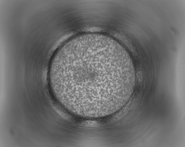 X0000112910159200909141259