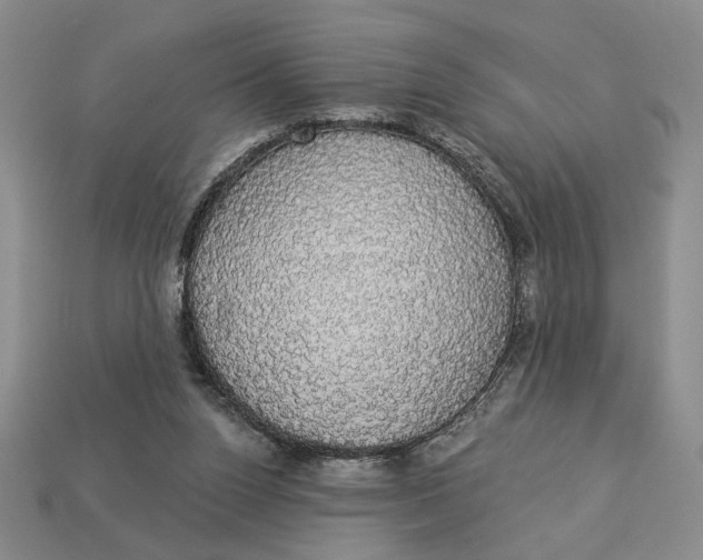 X0000112910160200909141259