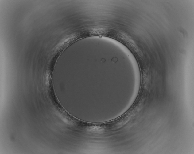 X0000112910161200909141259