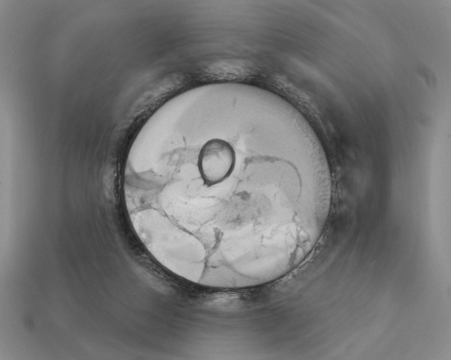 X0000112910162200909141259