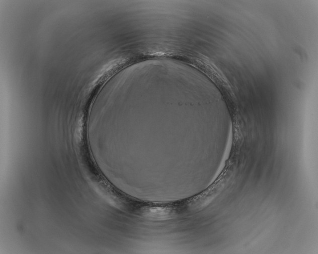 X0000112910163200909141259