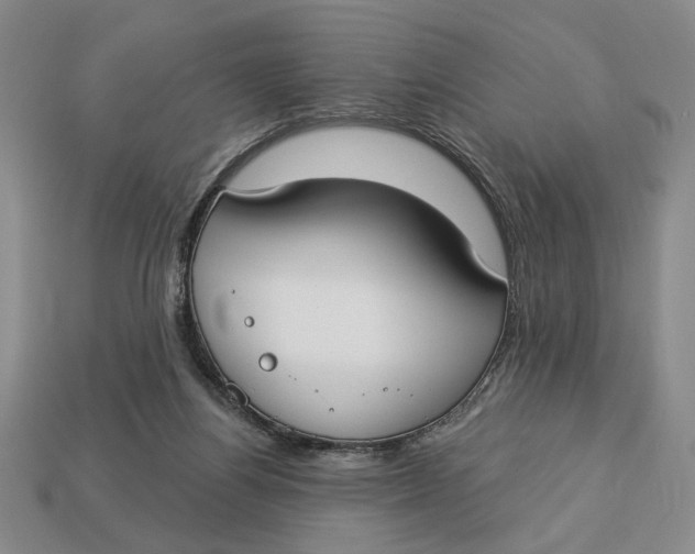 X0000112910164200909141259