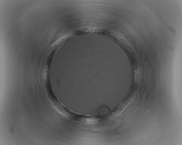 X0000112910165200909141259