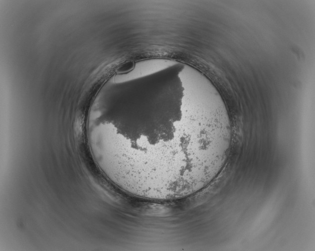 X0000112910166200909141259