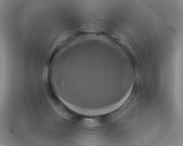 X0000112910167200909141259