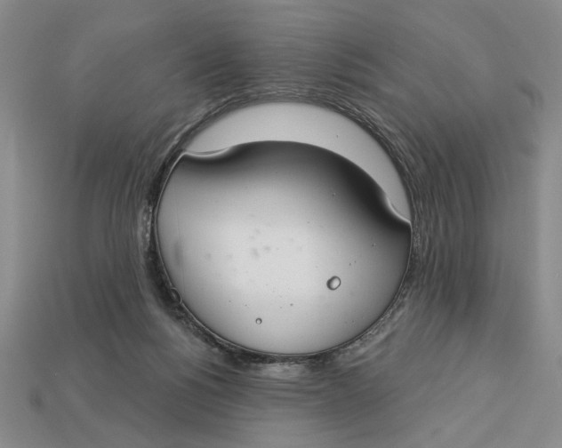 X0000112910168200909141259