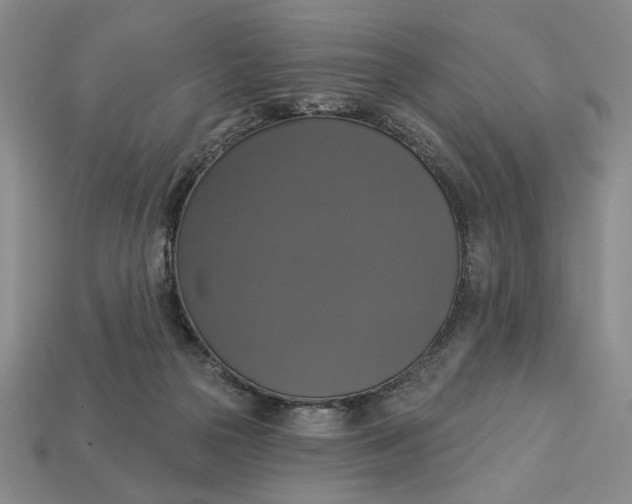 X0000112910169200909141259