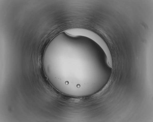 X0000112910170200909141259