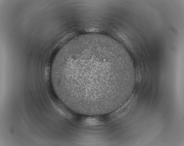 X0000112910171200909141259