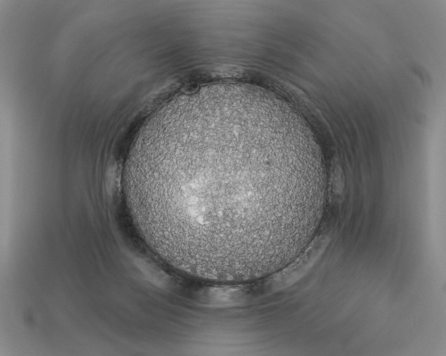 X0000112910172200909141259