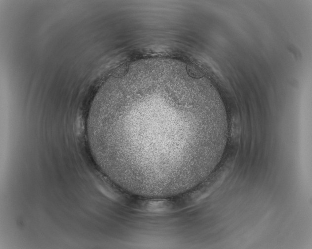 X0000112910173200909141259