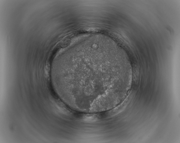 X0000112910175200909141259