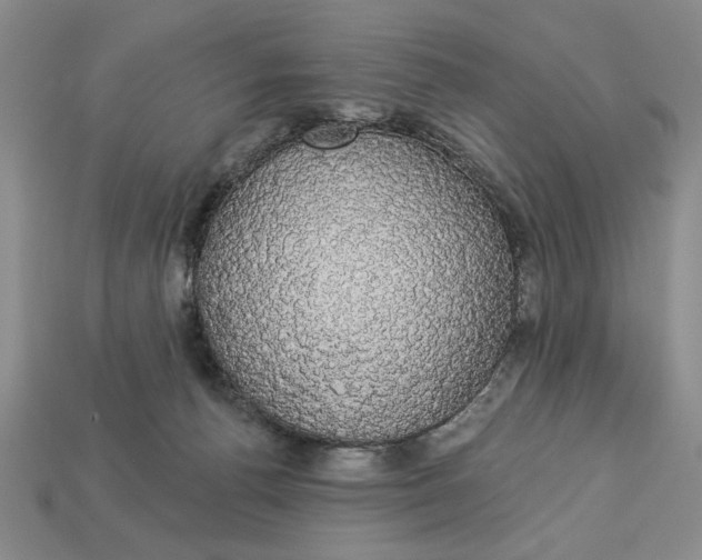 X0000112910176200909141259