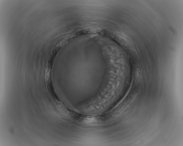 X0000112910177200909141259