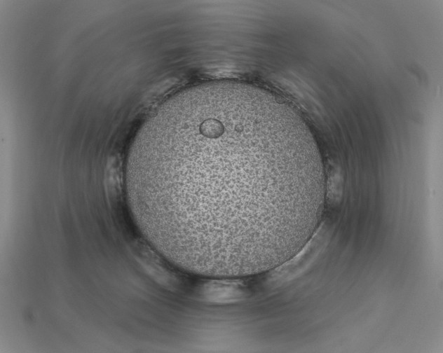 X0000112910179200909141259