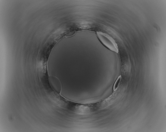 X0000112910180200909141259