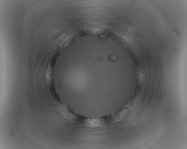 X0000112910181200909141259