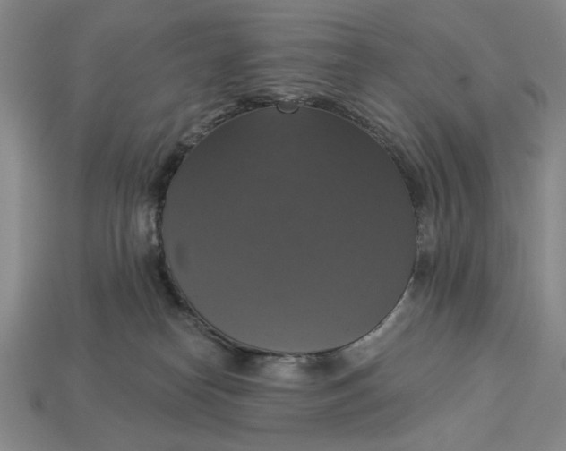 X0000112910182200909141259