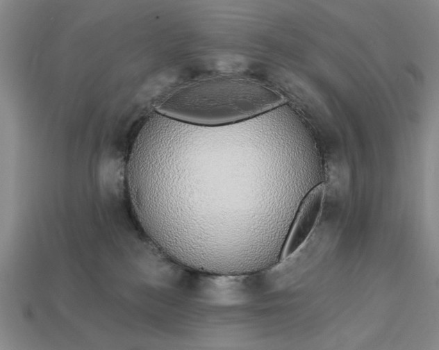 X0000112910184200909141259