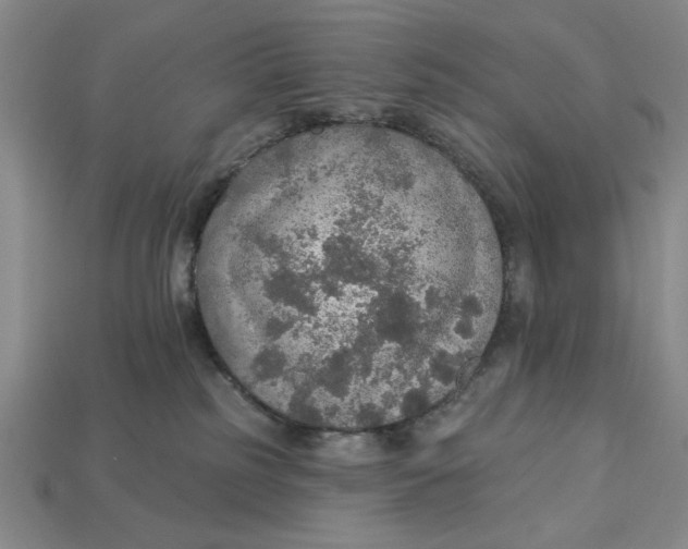 X0000112910185200909141259