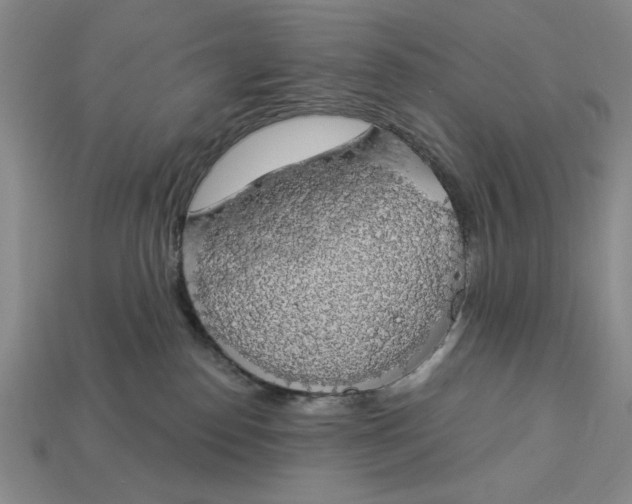 X0000112910186200909141259