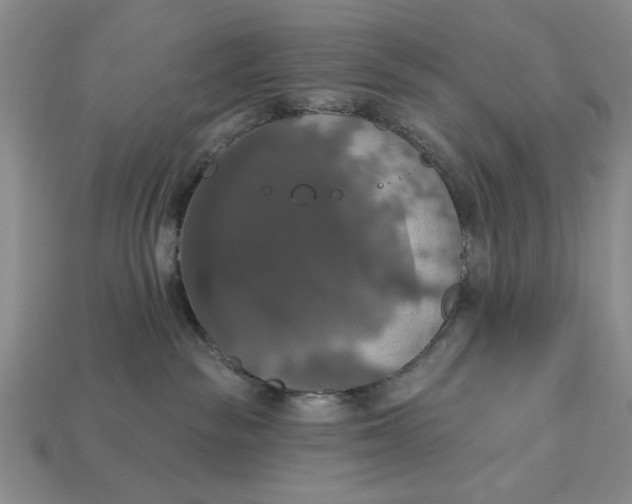 X0000112910189200909141259