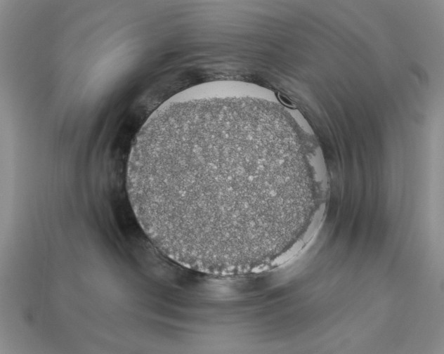 X0000112910190200909141259