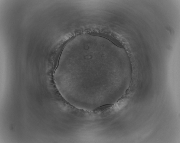 X0000112910192200909141259