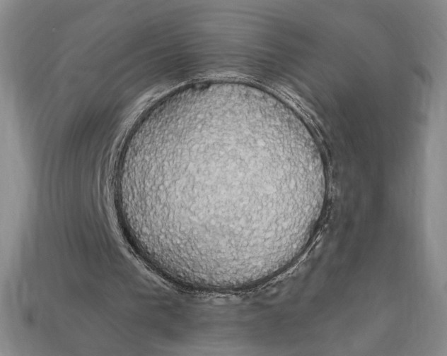 X0000112910193200909141258