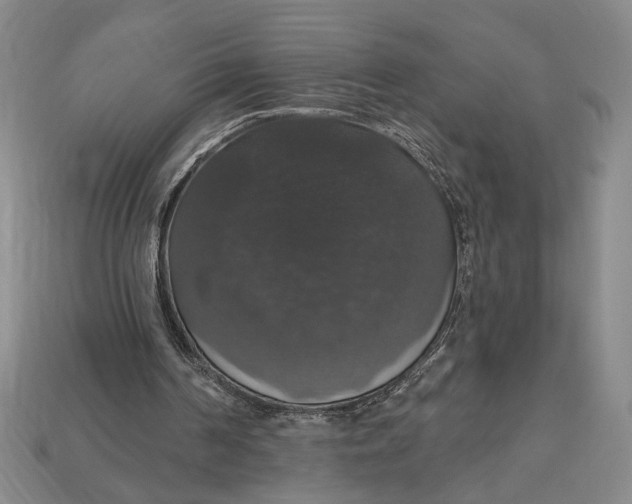 X0000112910194200909141258