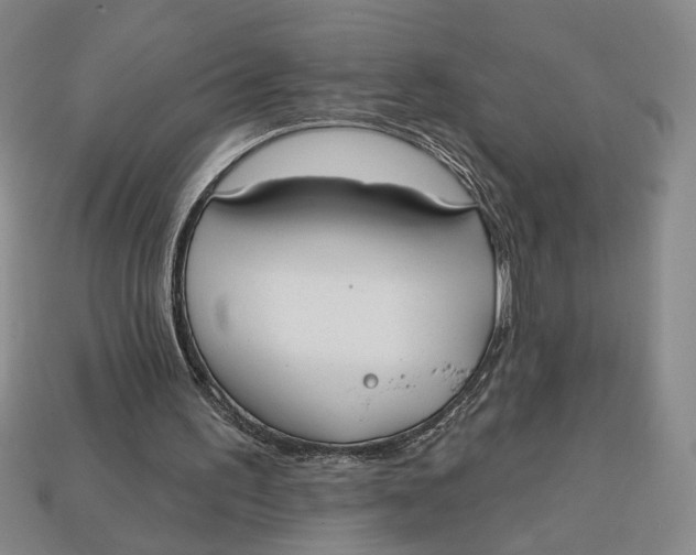 X0000112910195200909141258