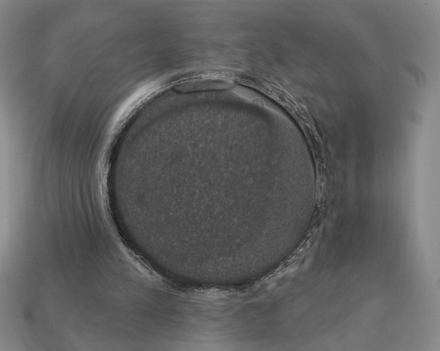 X0000112910197200909141258