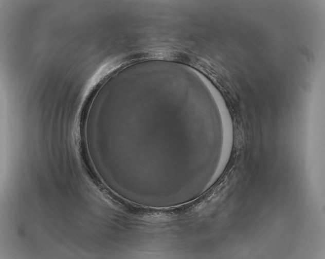 X0000112910198200909141258