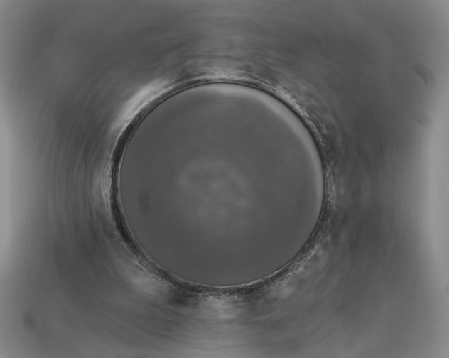 X0000112910199200909141258