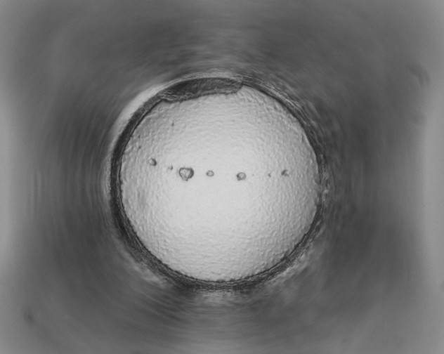 X0000112910200200909141258