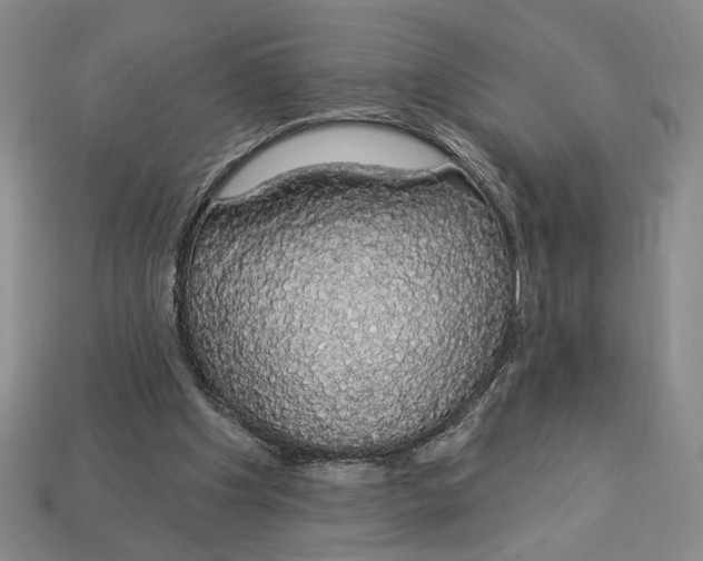 X0000112910201200909141258