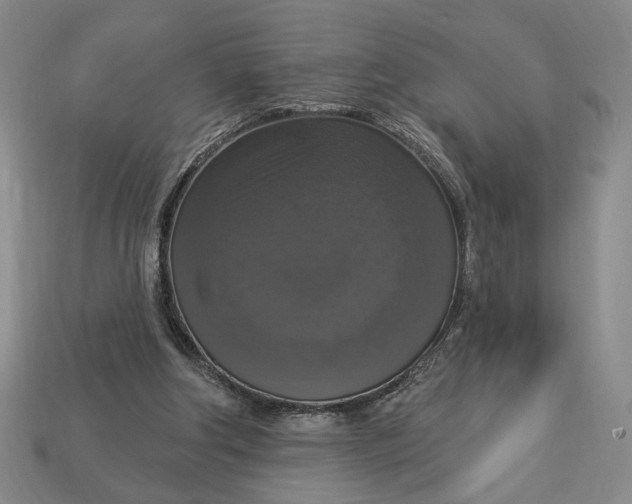 X0000112910202200909141258