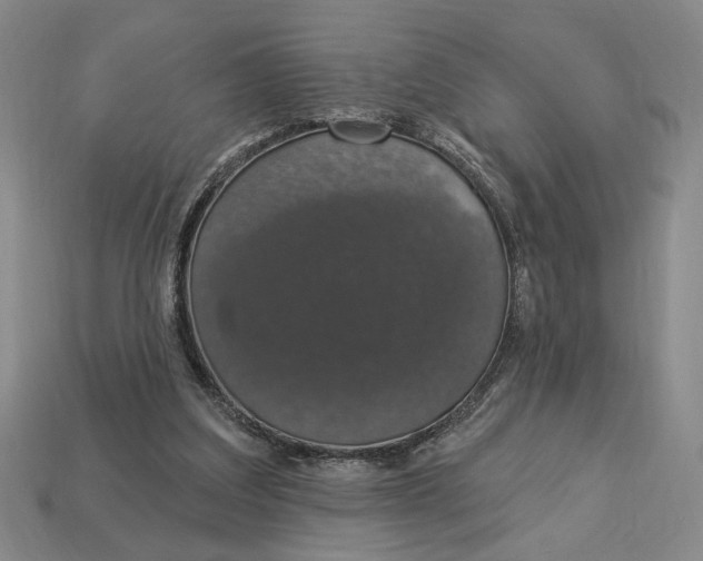 X0000112910203200909141258