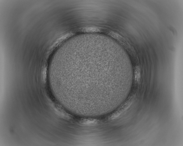 X0000112910206200909141258