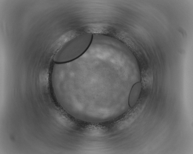 X0000112910207200909141258