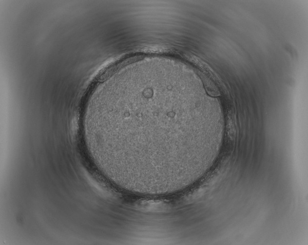 X0000112910208200909141258