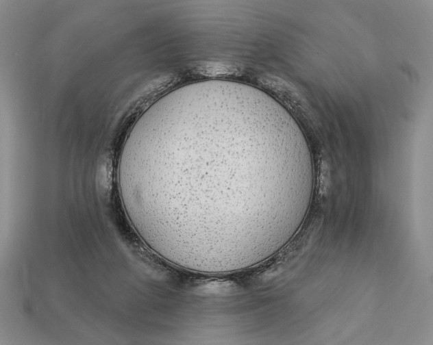 X0000112910210200909141258