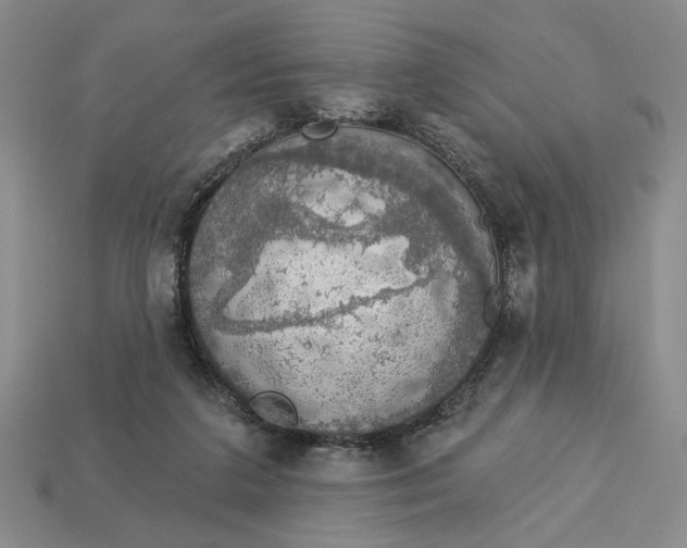 X0000112910211200909141258