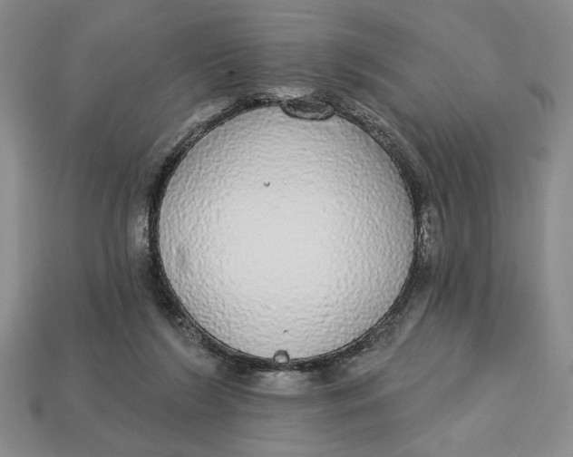 X0000112910212200909141258