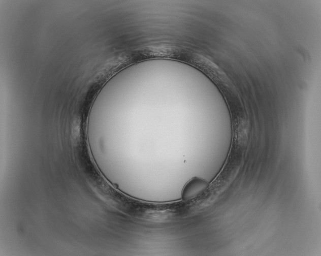 X0000112910213200909141258