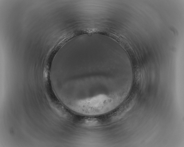 X0000112910214200909141258