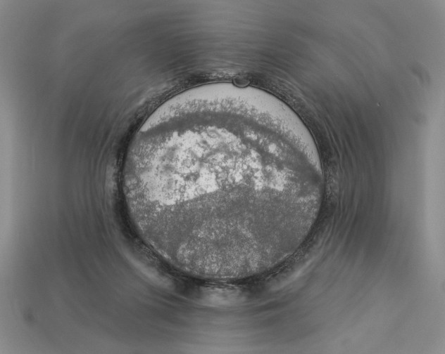 X0000112910215200909141258