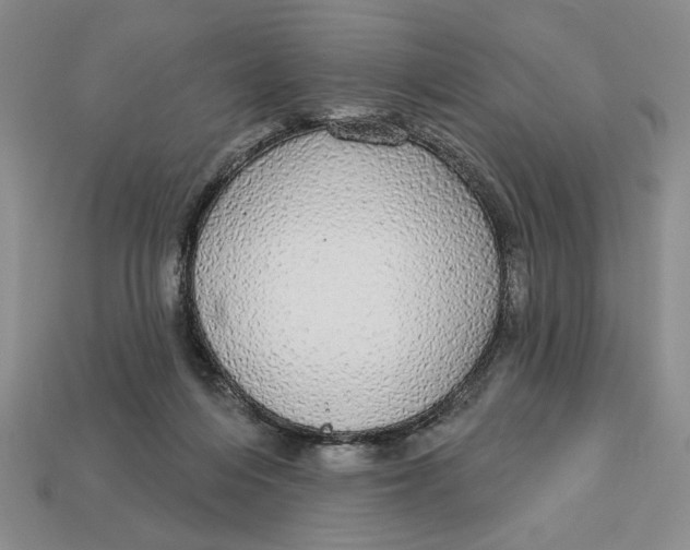 X0000112910216200909141258