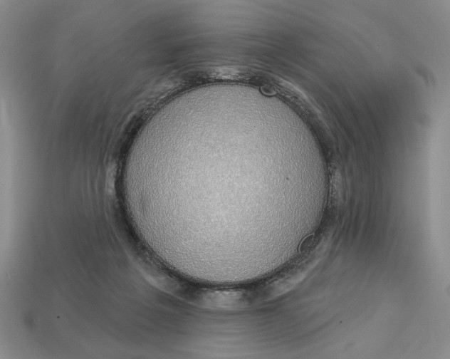 X0000112910217200909141258